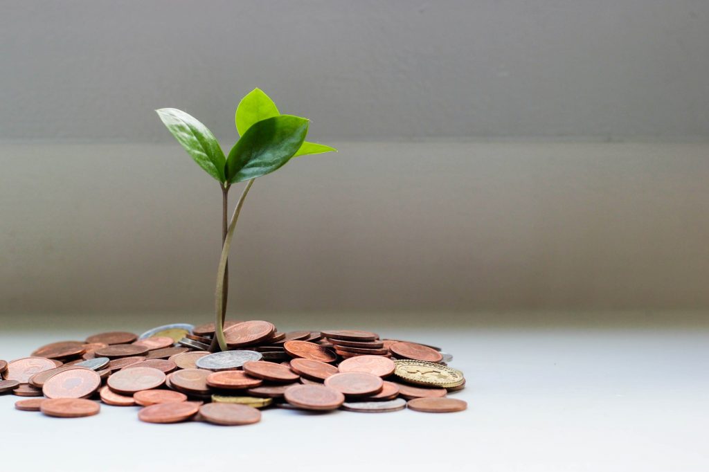 Foto von einem Münzhaufen, aus dem eine kleine grüne Pflanze wächst - finanziell wachsen.